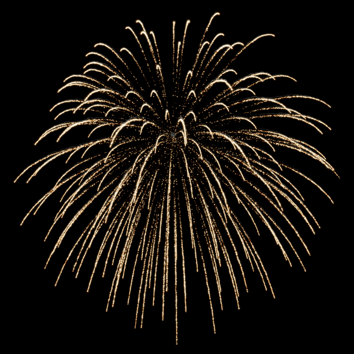 FC 6" Dandelion (Double Brocade Crown) - Pyrokratia Oy