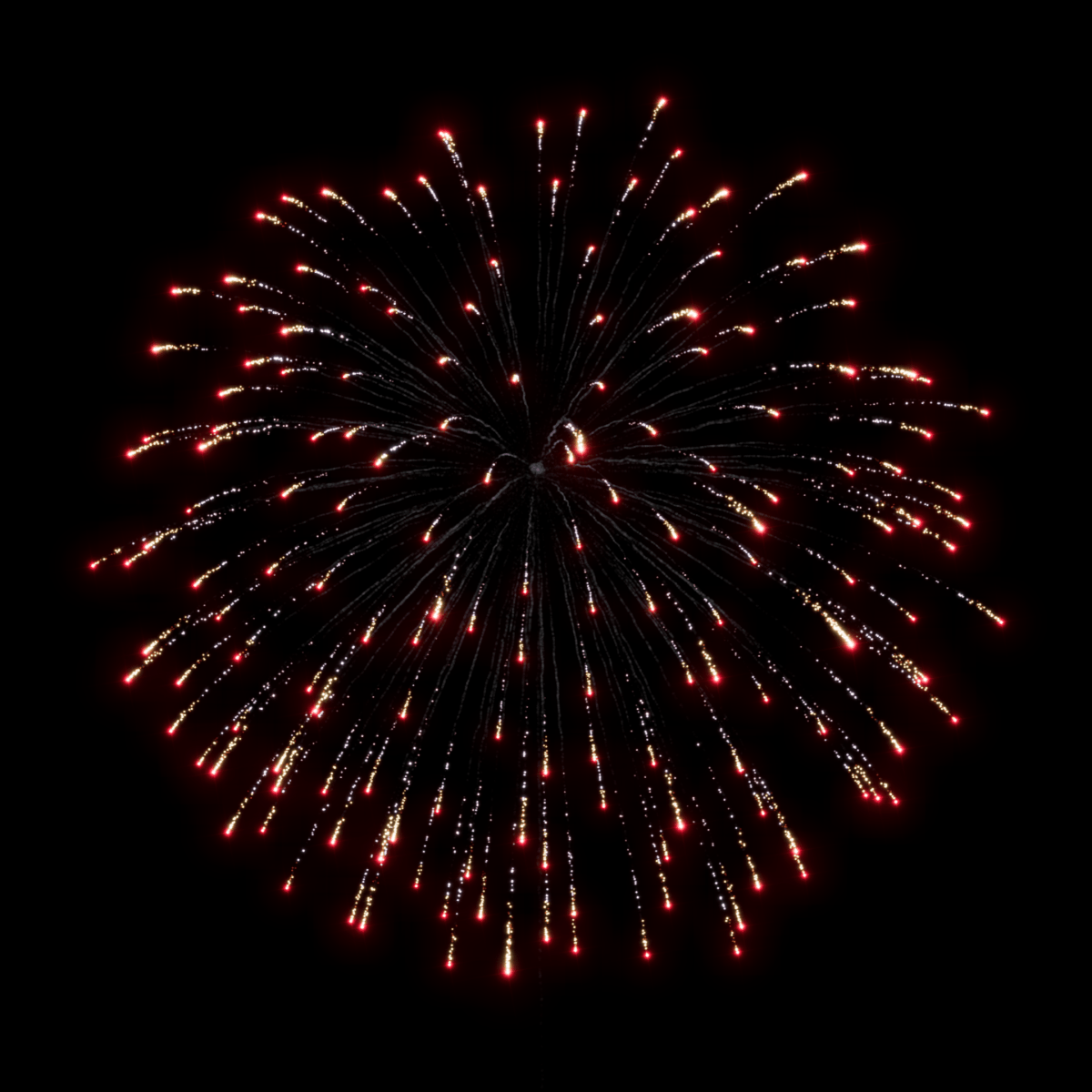 Z 3" Glittering Silver to Red Chrys - Pyrokratia Oy