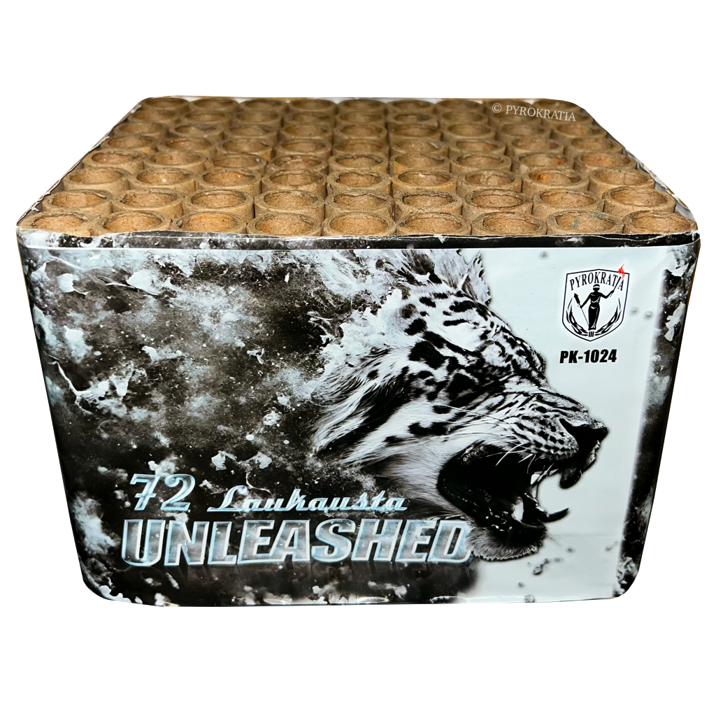 Unleashed (2025)