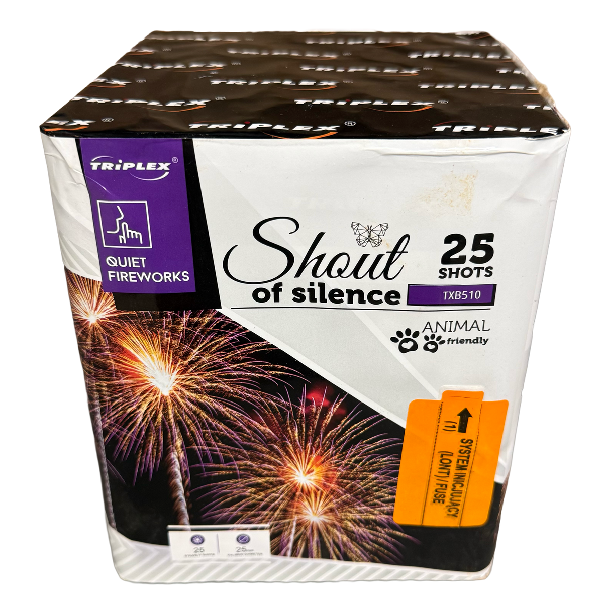 Shout of Silence