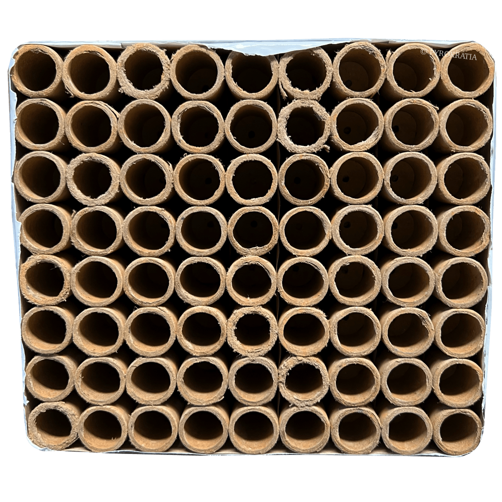 Unleashed (2025) - Pyrokratia Oy